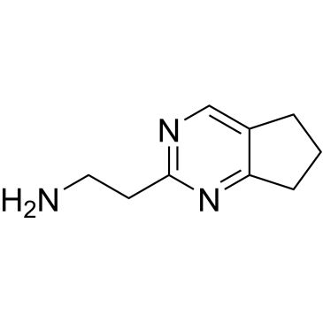 CS-1162431