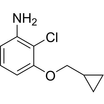CS-1166974