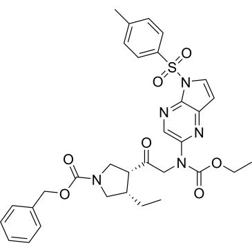 CS-1174946