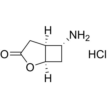 CS-1177177