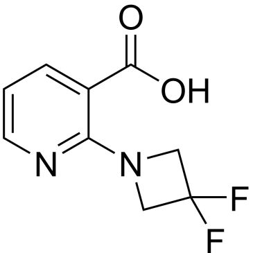 CS-1202091