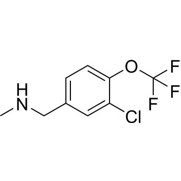 CS-1213260