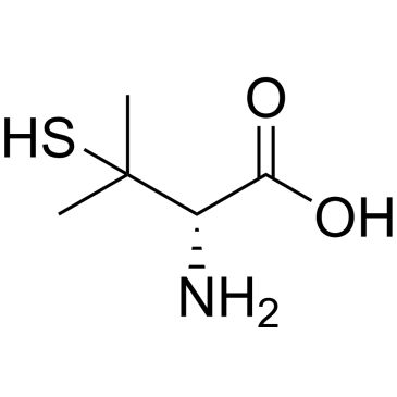 CS-2334