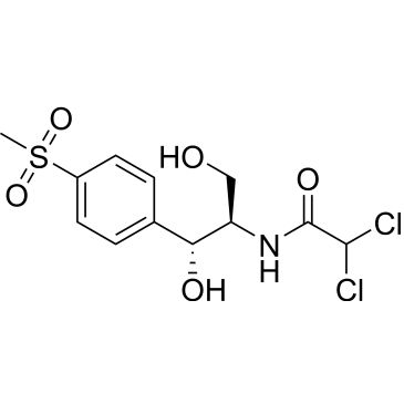 CS-2593