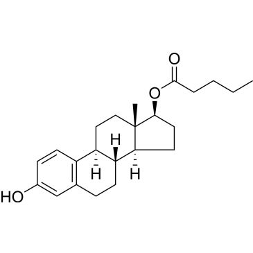 CS-2904