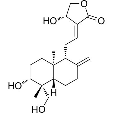 CS-3334