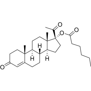 CS-4317