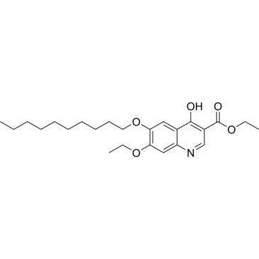 CS-4555