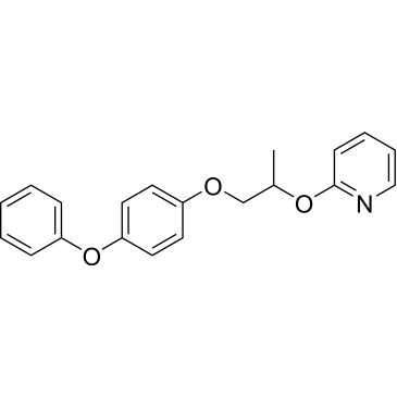 CS-5218