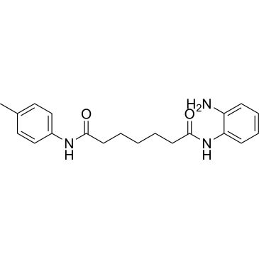 CS-5229