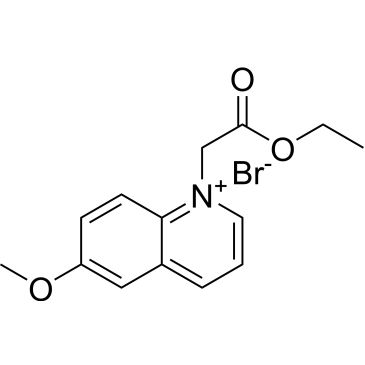 CS-6018