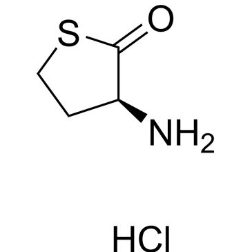 CS-6394