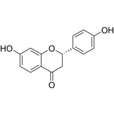 CS-6977