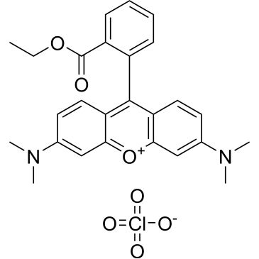 CS-8104