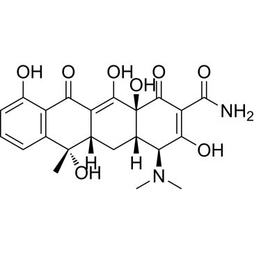 CS-8188