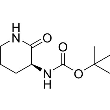 CS-B1207