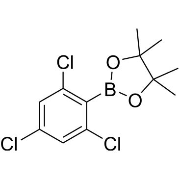 CS-B1248