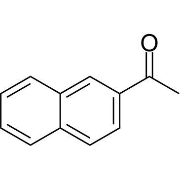 CS-B1305