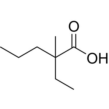 CS-D0402