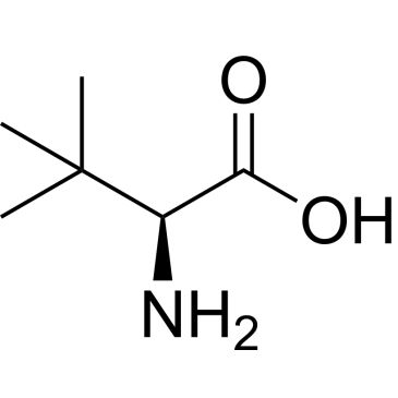 CS-D0917