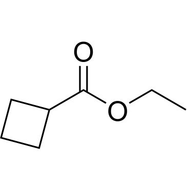 CS-D1706