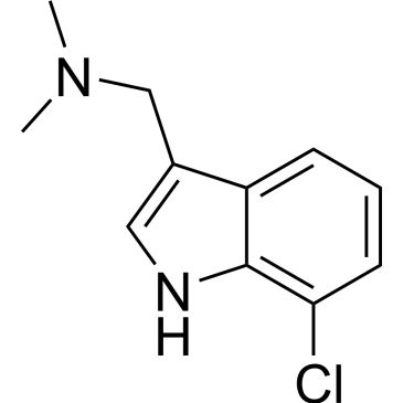 Img