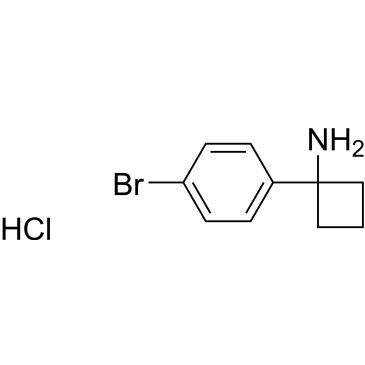 CS-W000739