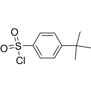 CS-W002029