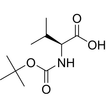 CS-W002300
