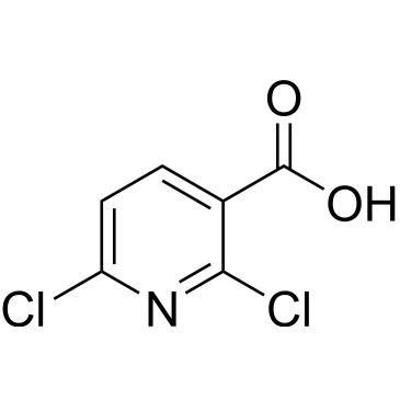CS-W002323