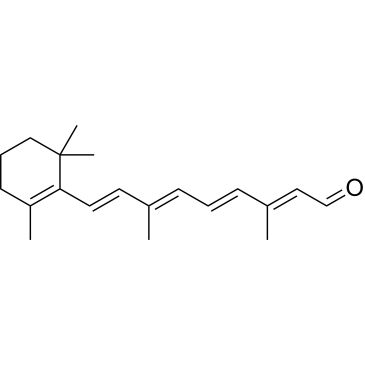 CS-W004500