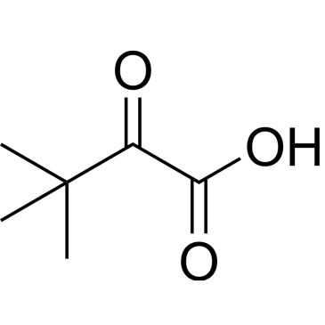 CS-W005305