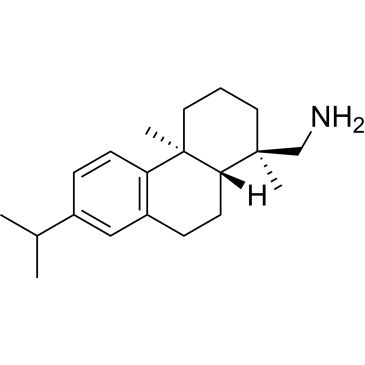 CS-W005629