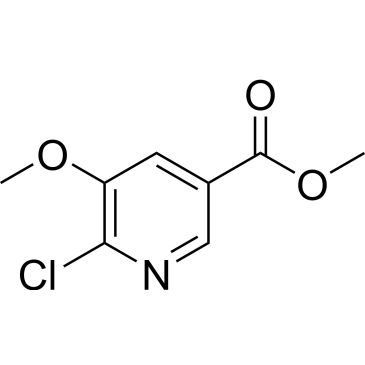 CS-W006475