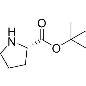 CS-W007677