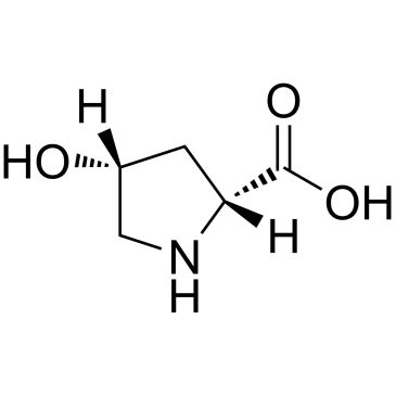 CS-W008129
