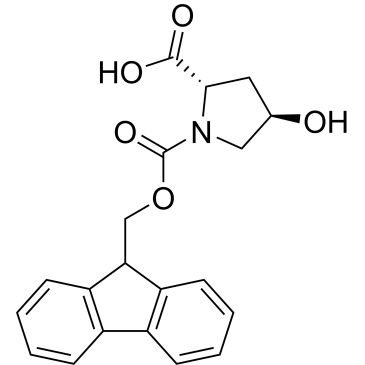 CS-W008205