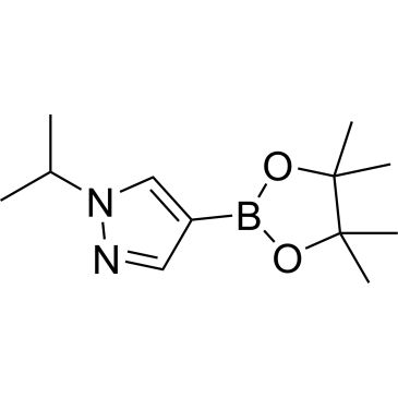 CS-W008377