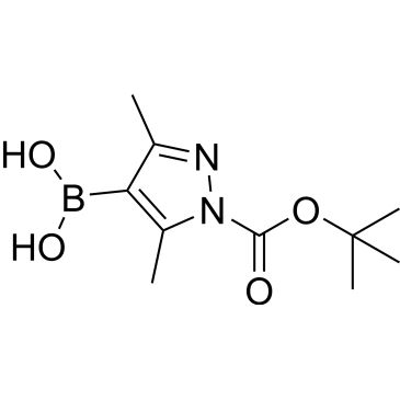 CS-W008509