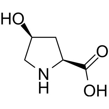 CS-W009077