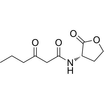 CS-W009522
