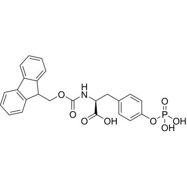 CS-W009624