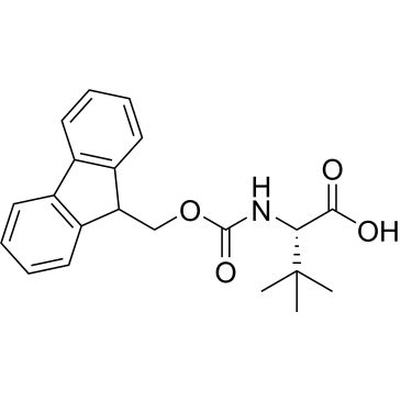 CS-W009804