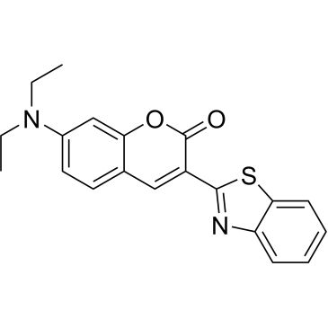 CS-W009809