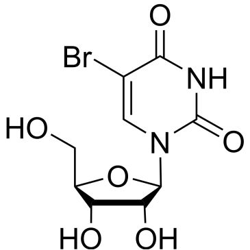 CS-W009879