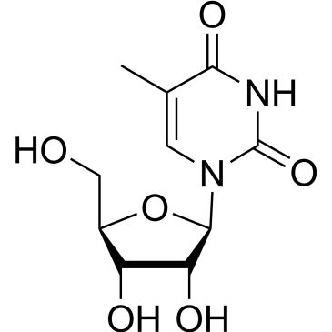 CS-W010160