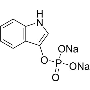 CS-W010174