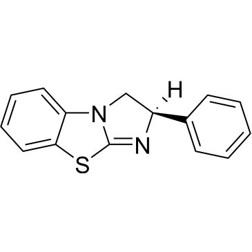 CS-W010199