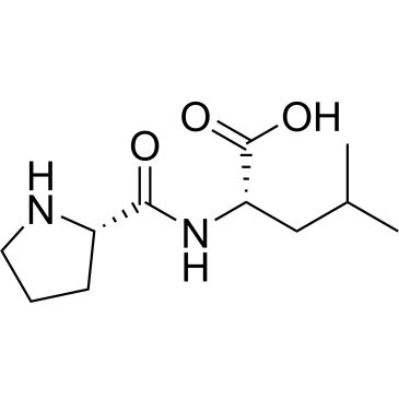 CS-W010402