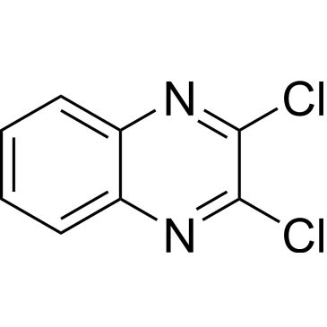 CS-W010519